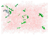 Applsci 15 00307 i005