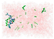 Applsci 15 00307 i006