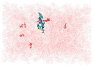 Applsci 15 00307 i007