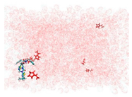 Applsci 15 00307 i008