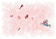 Applsci 15 00307 i009