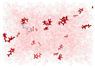 Applsci 15 00307 i011