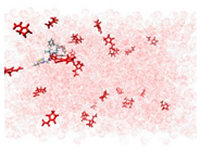 Applsci 15 00307 i012