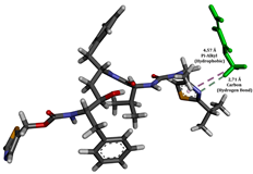 Applsci 15 00307 i017