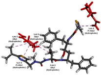 Applsci 15 00307 i032