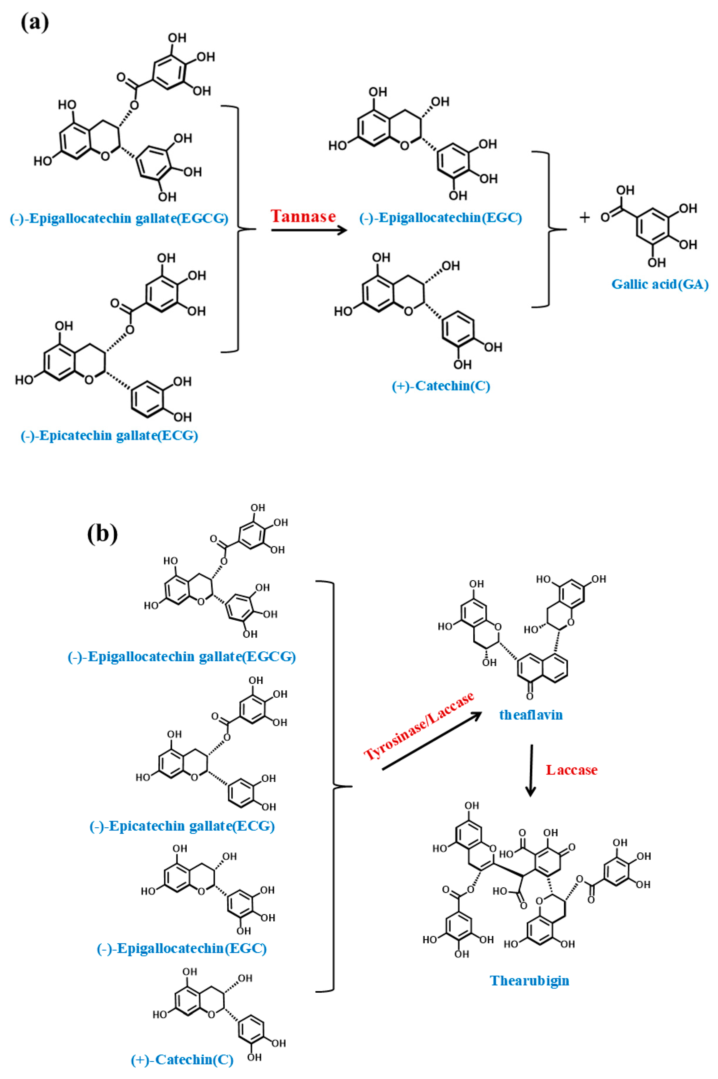 Applsci 15 00330 g008