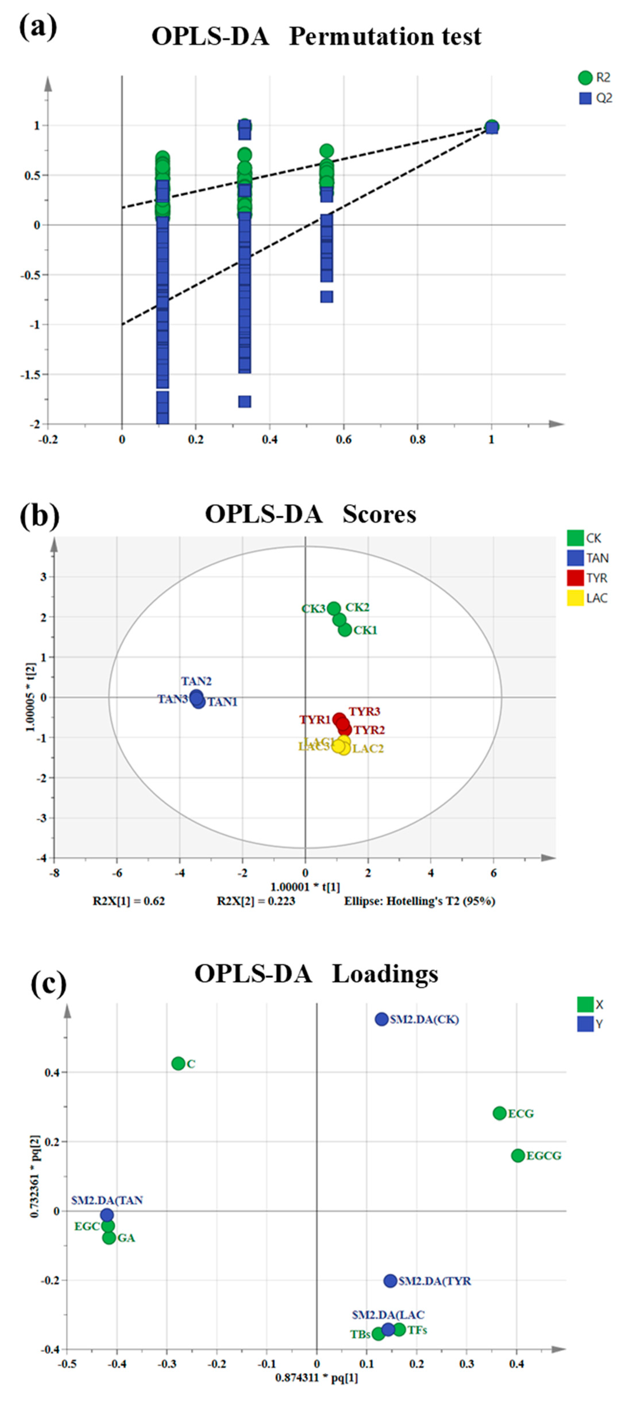 Applsci 15 00330 g011