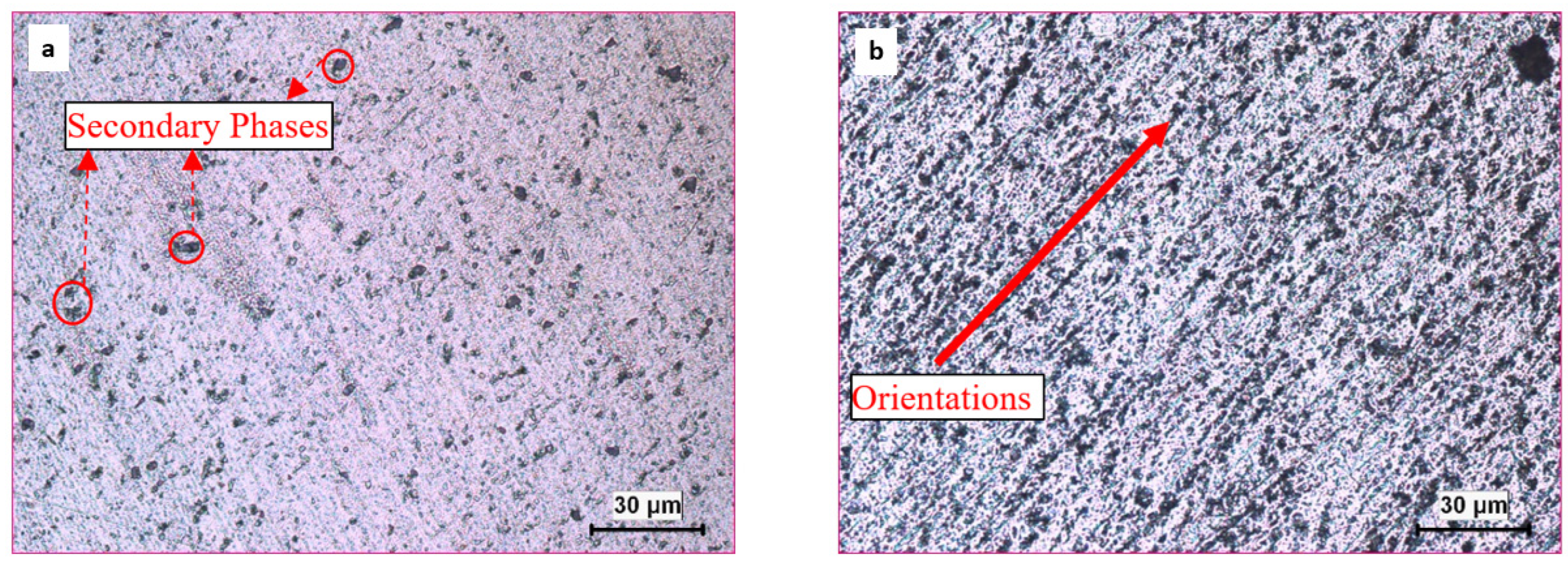 Applsci 15 00359 g021