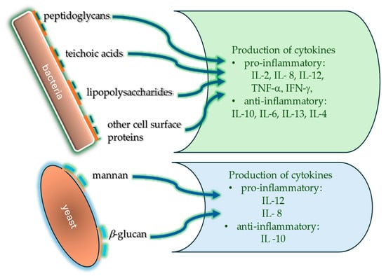 Applsci 15 00366 g002