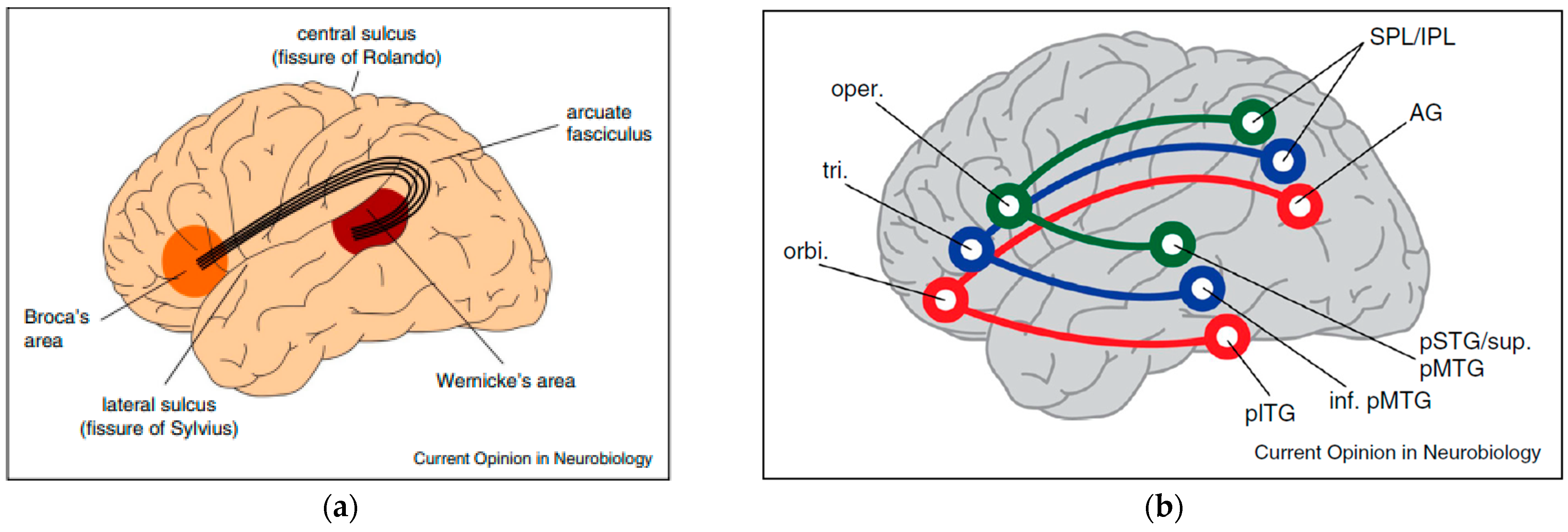 Applsci 15 00392 g003