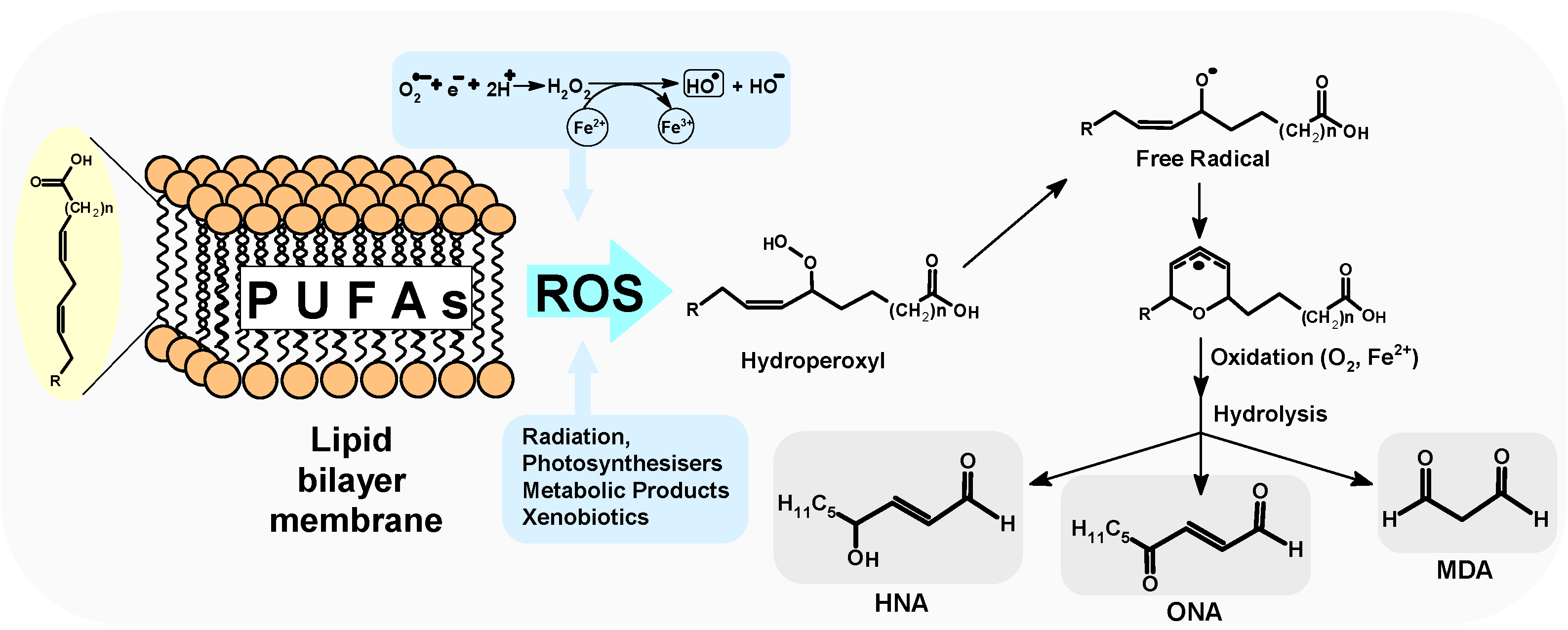 Applsci 15 00437 g001