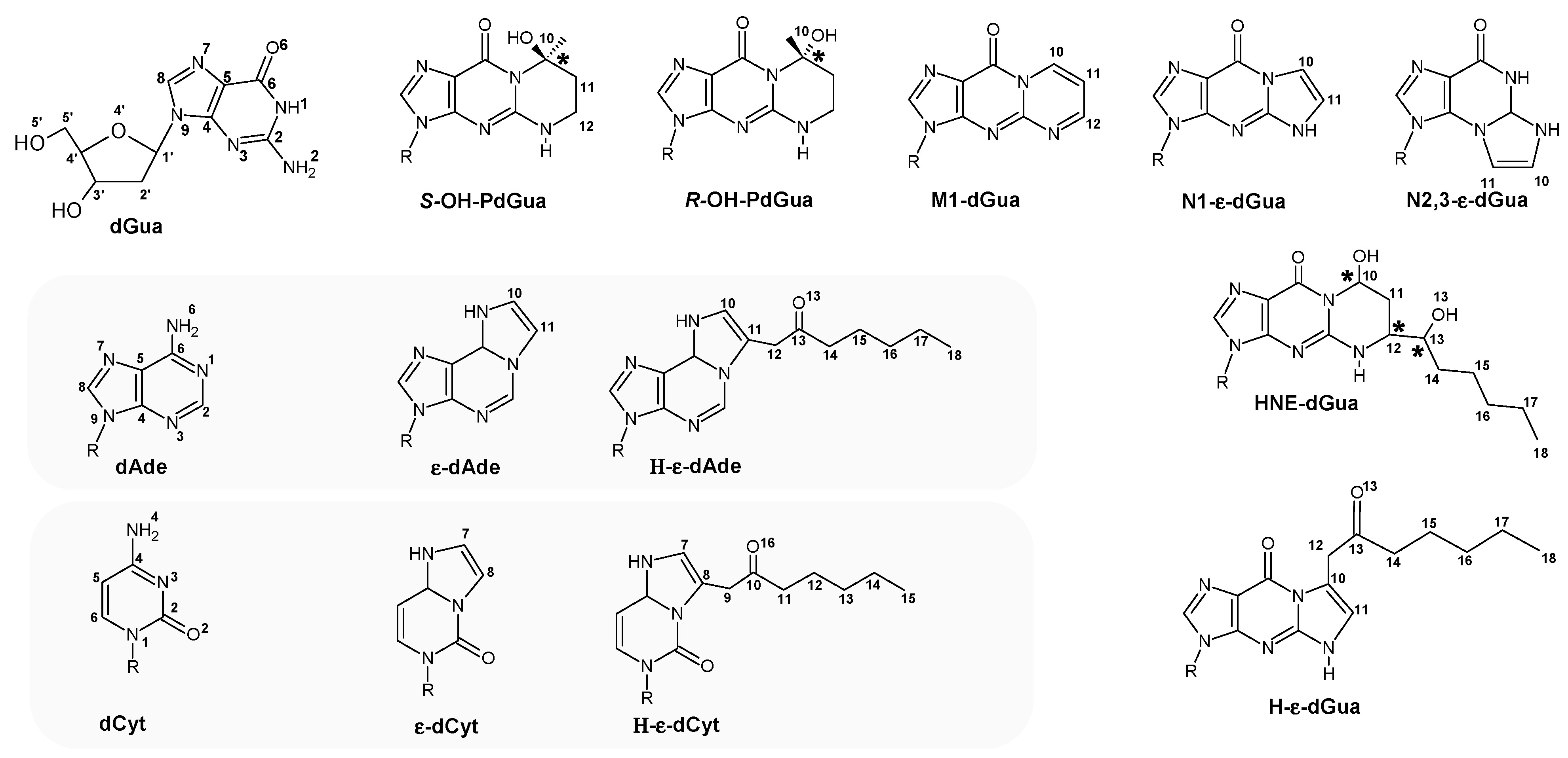 Applsci 15 00437 g002