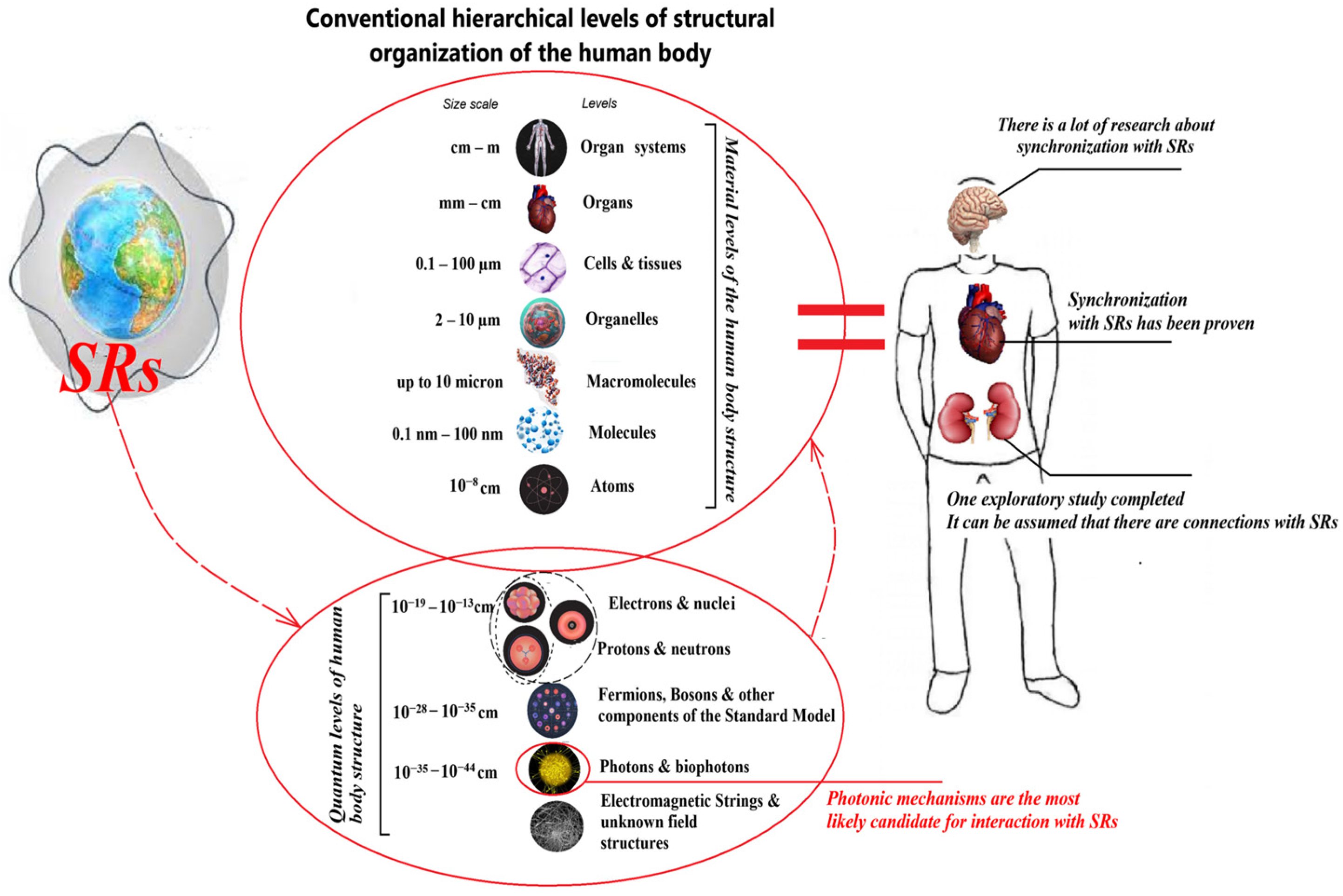 Applsci 15 00449 g001 Applsci 15 00449 g001