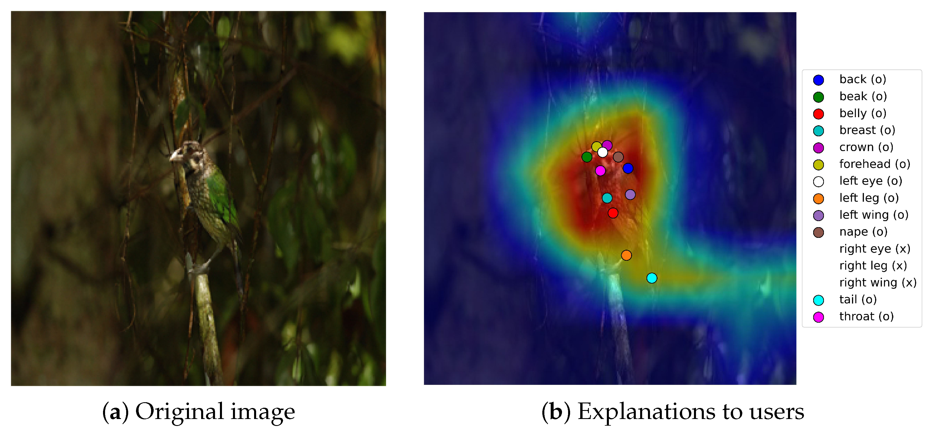 Applsci 15 00493 g001