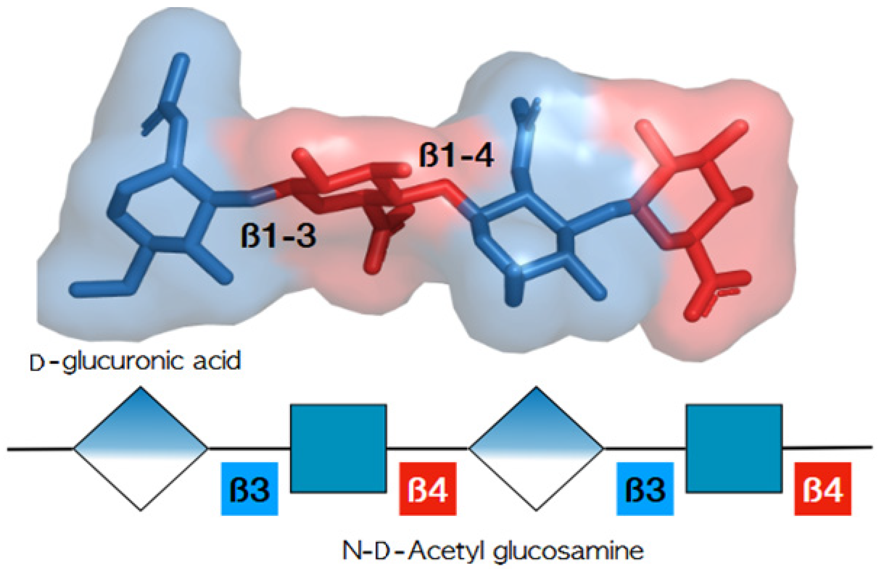 Applsci 15 00536 g001