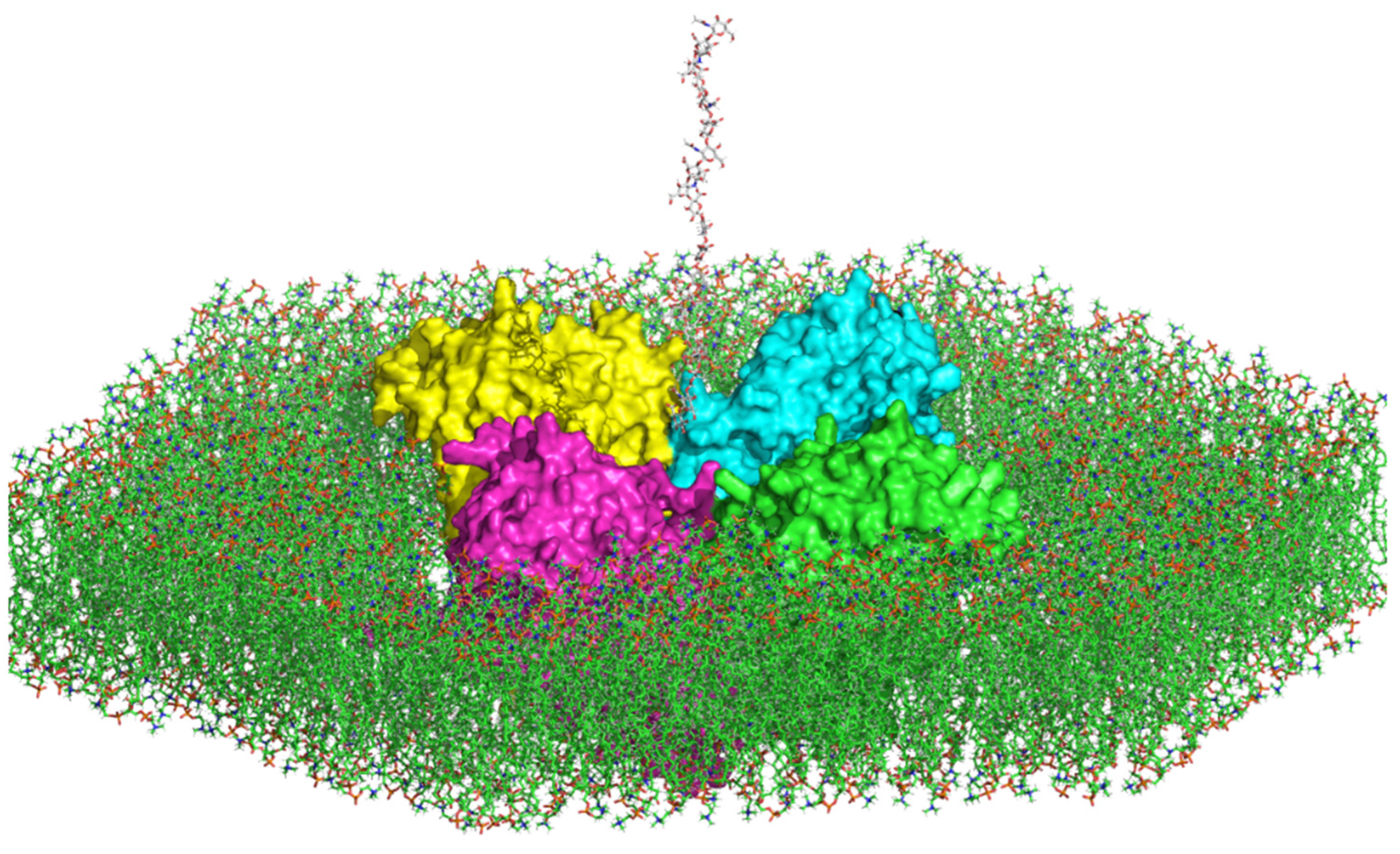 Applsci 15 00536 g002