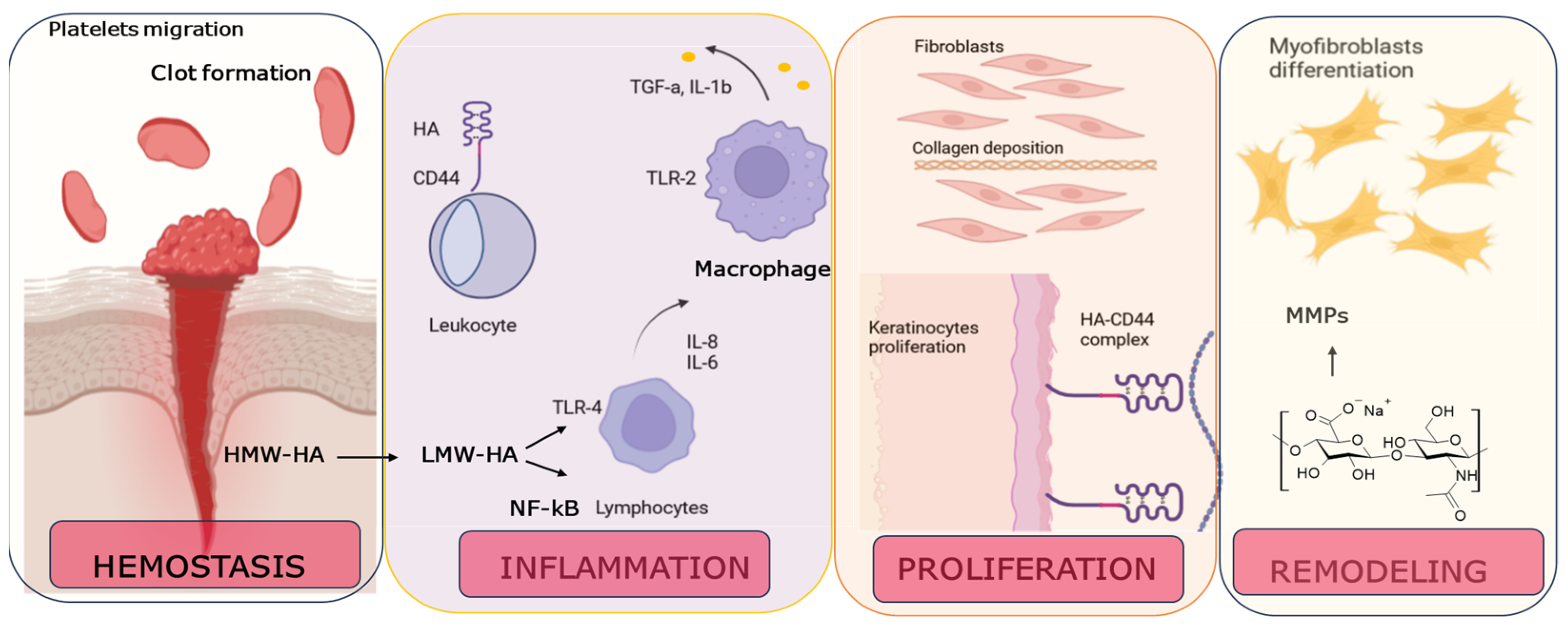 Applsci 15 00536 g003