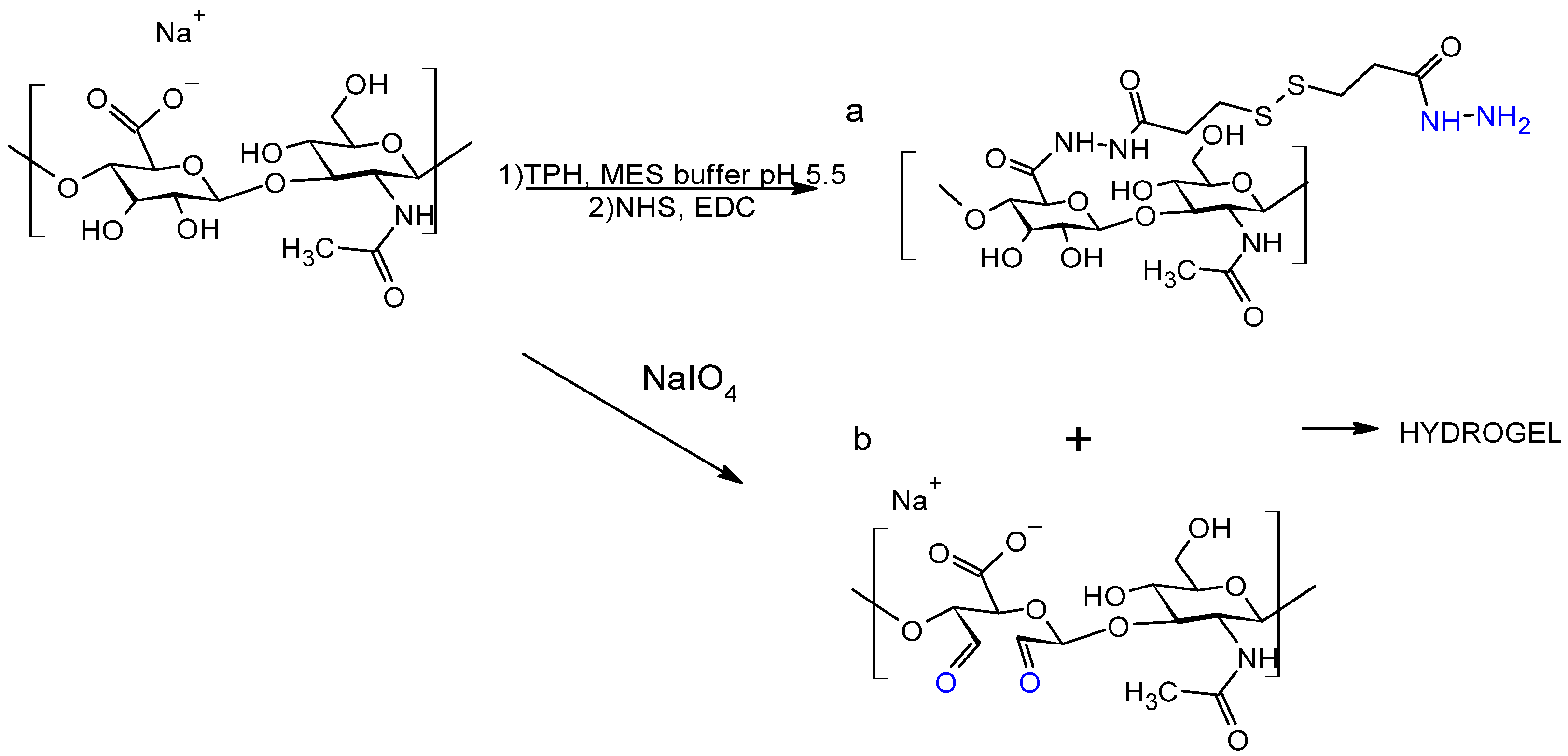 Applsci 15 00536 g005
