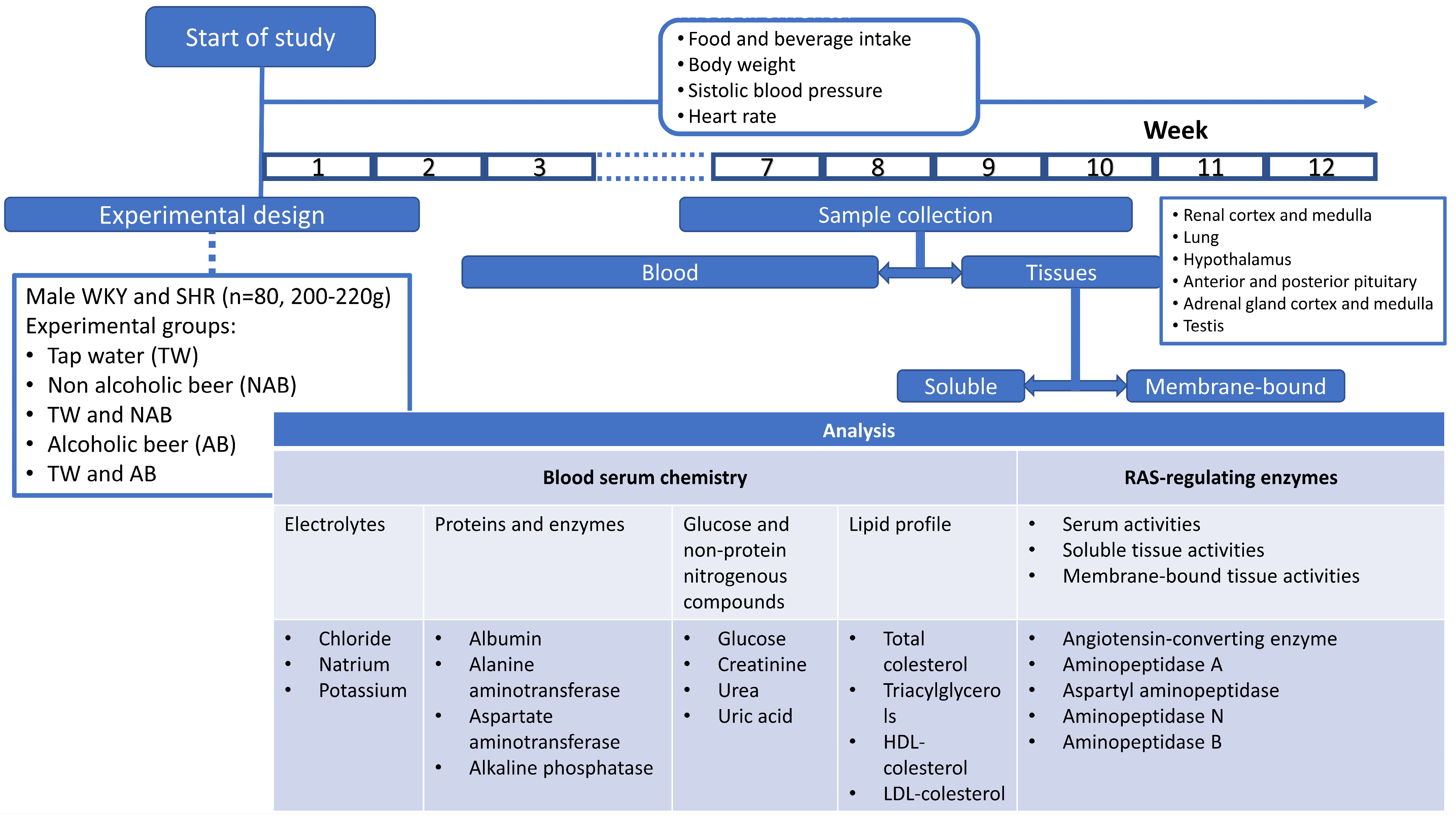 Applsci 15 00572 g001