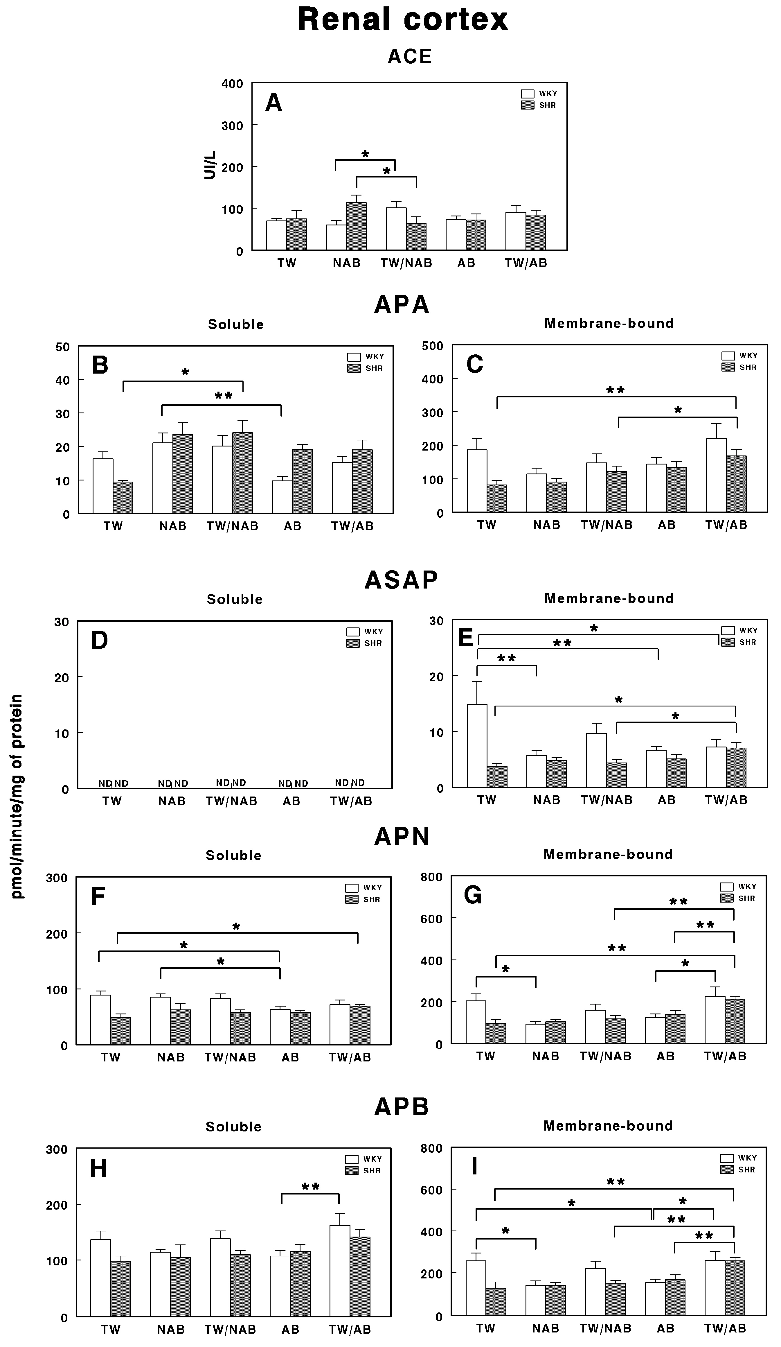 Applsci 15 00572 g011