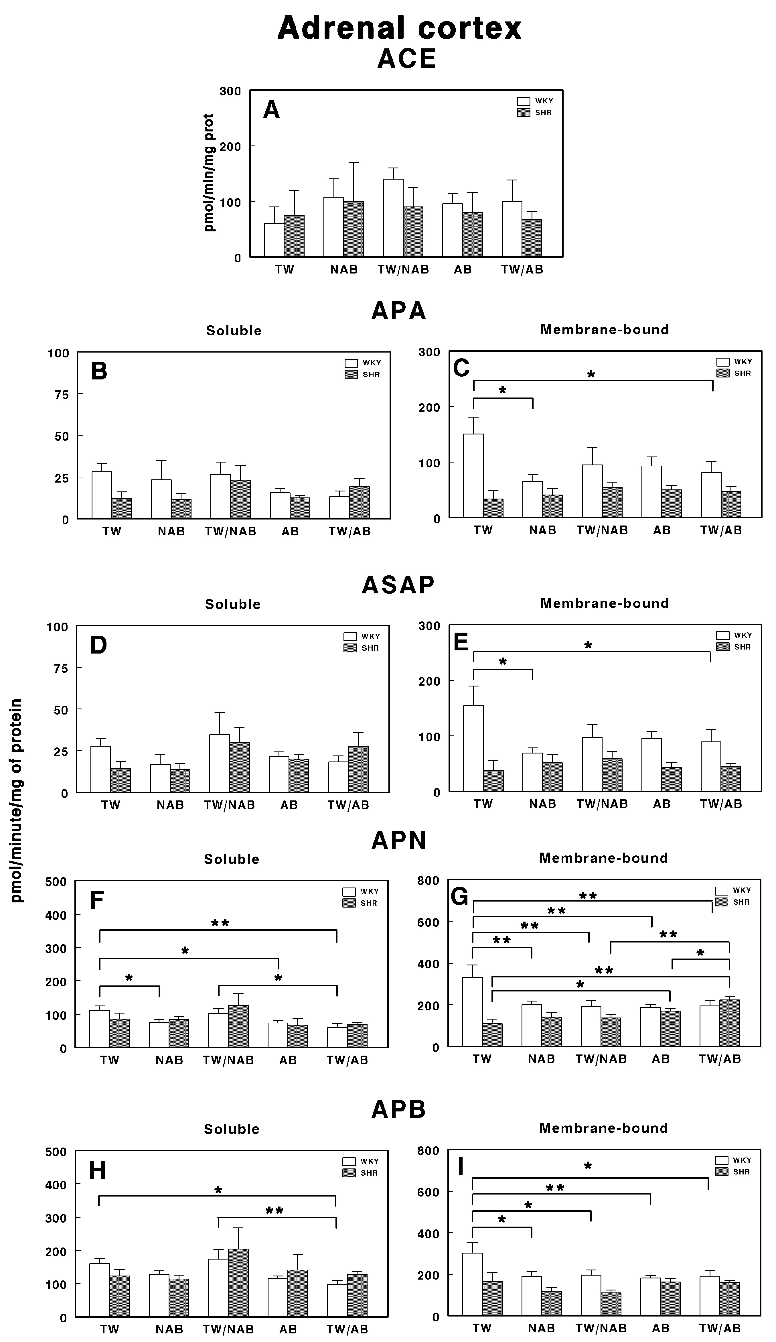 Applsci 15 00572 g017