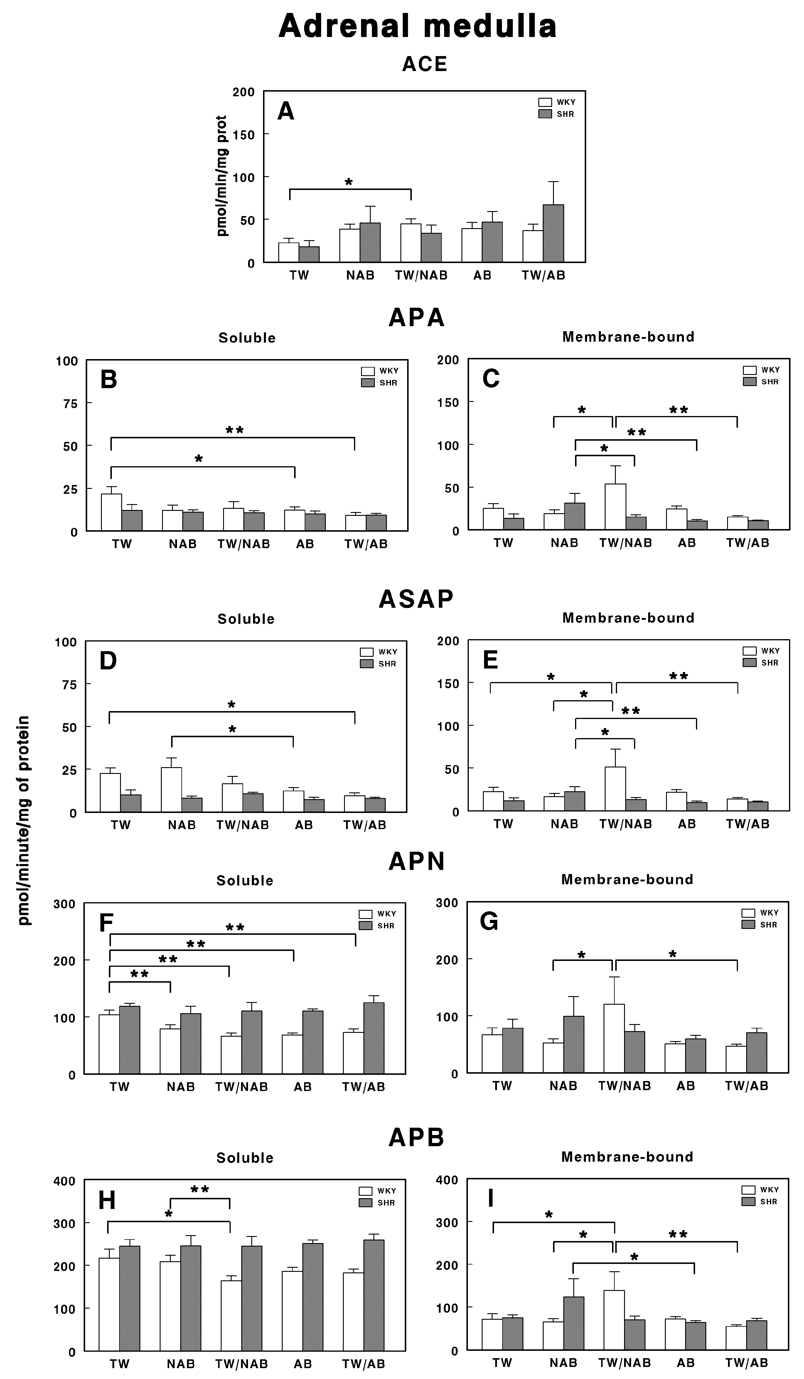 Applsci 15 00572 g018