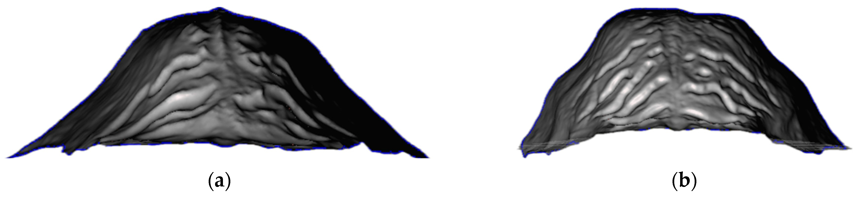 Applsci 15 00604 g004 Applsci 15 00604 g004