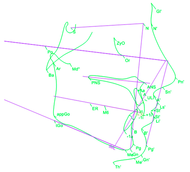 Applsci 15 00604 i001 Applsci 15 00604 i001