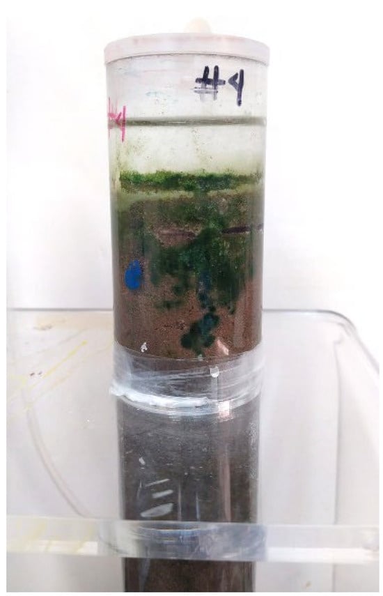 Applsci 15 00609 g0b7