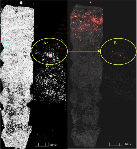 Applsci 15 00609 g0b8