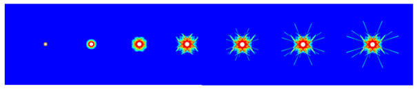 Applsci 15 00612 i002