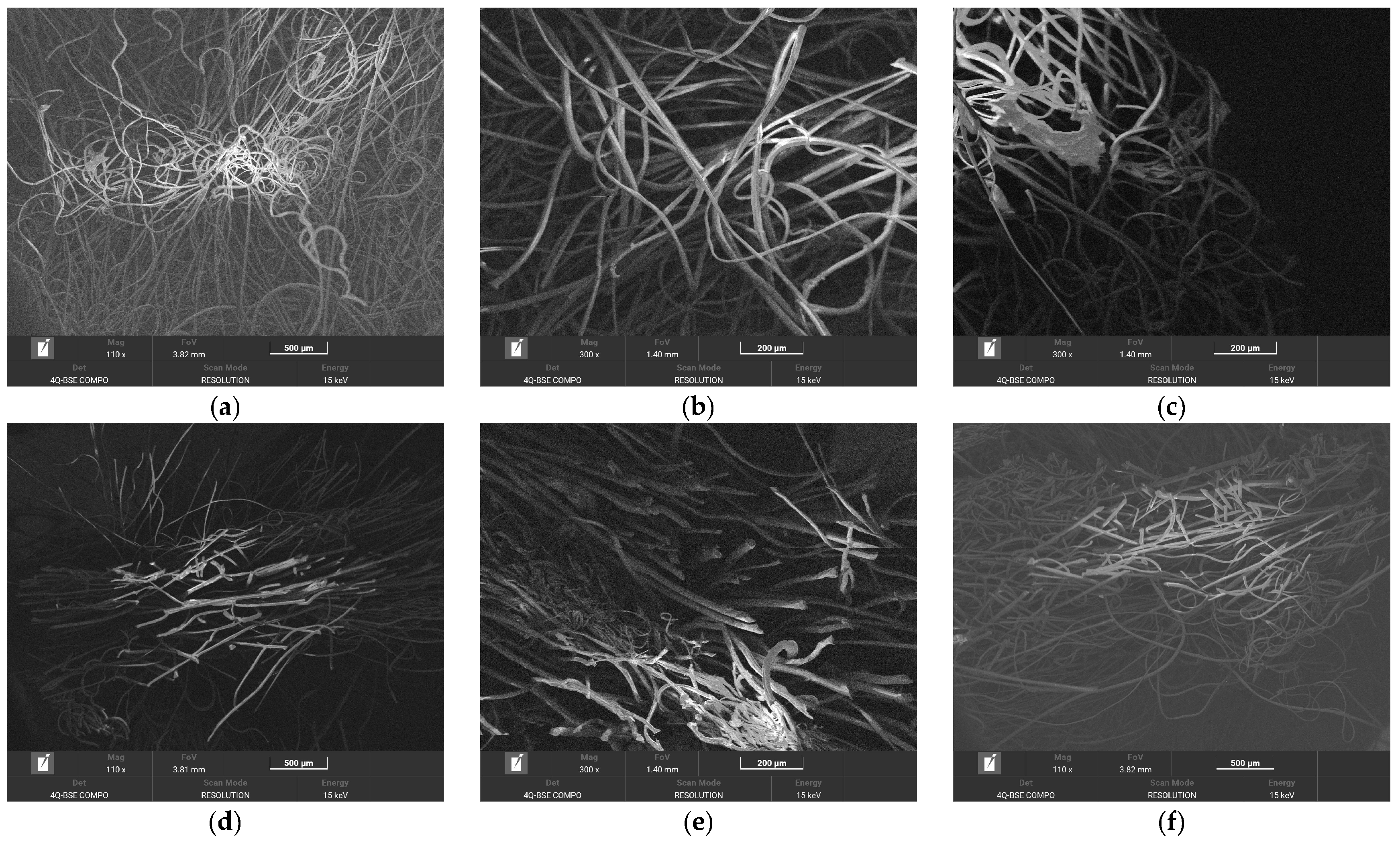 Applsci 15 00626 g010