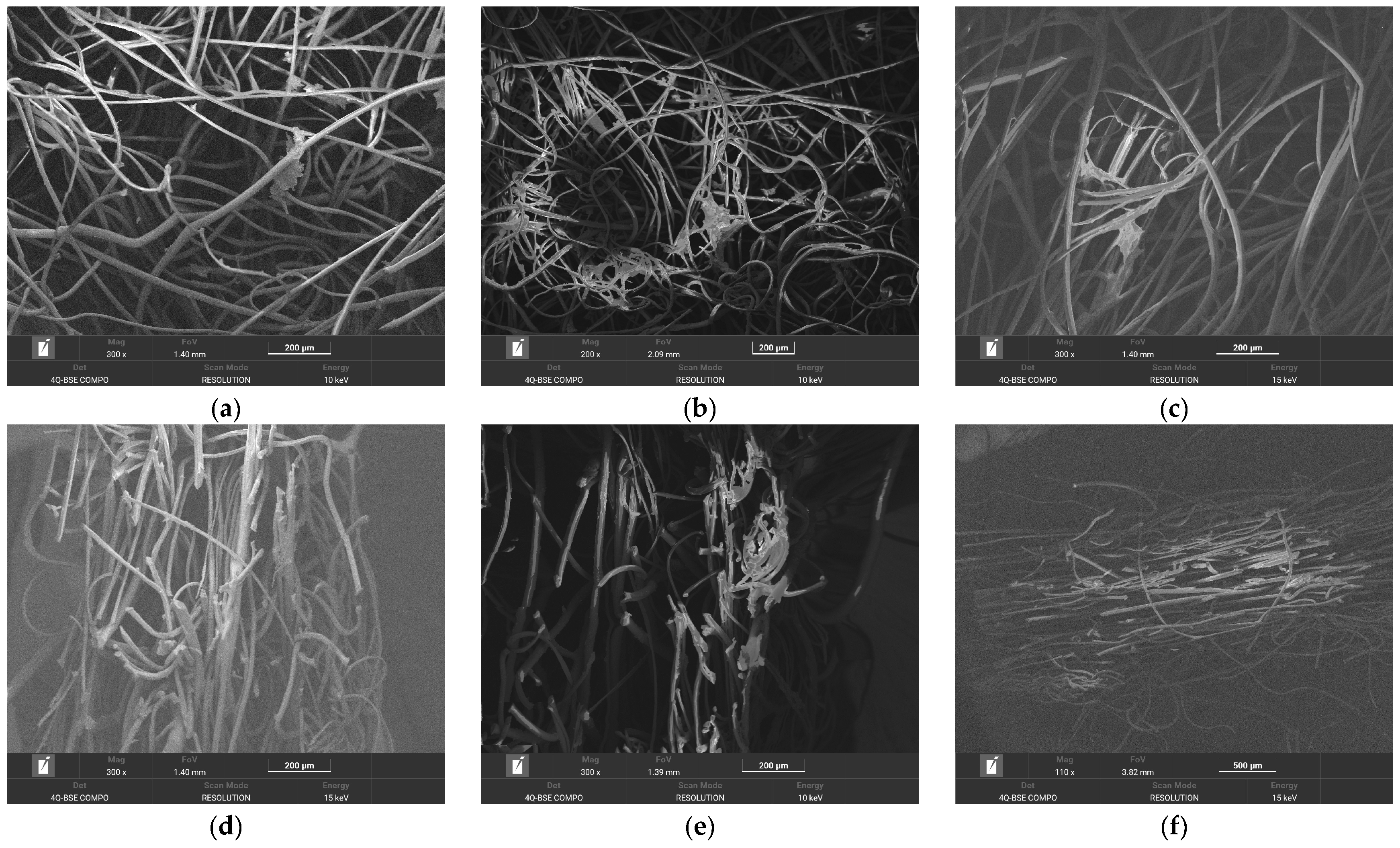 Applsci 15 00626 g011