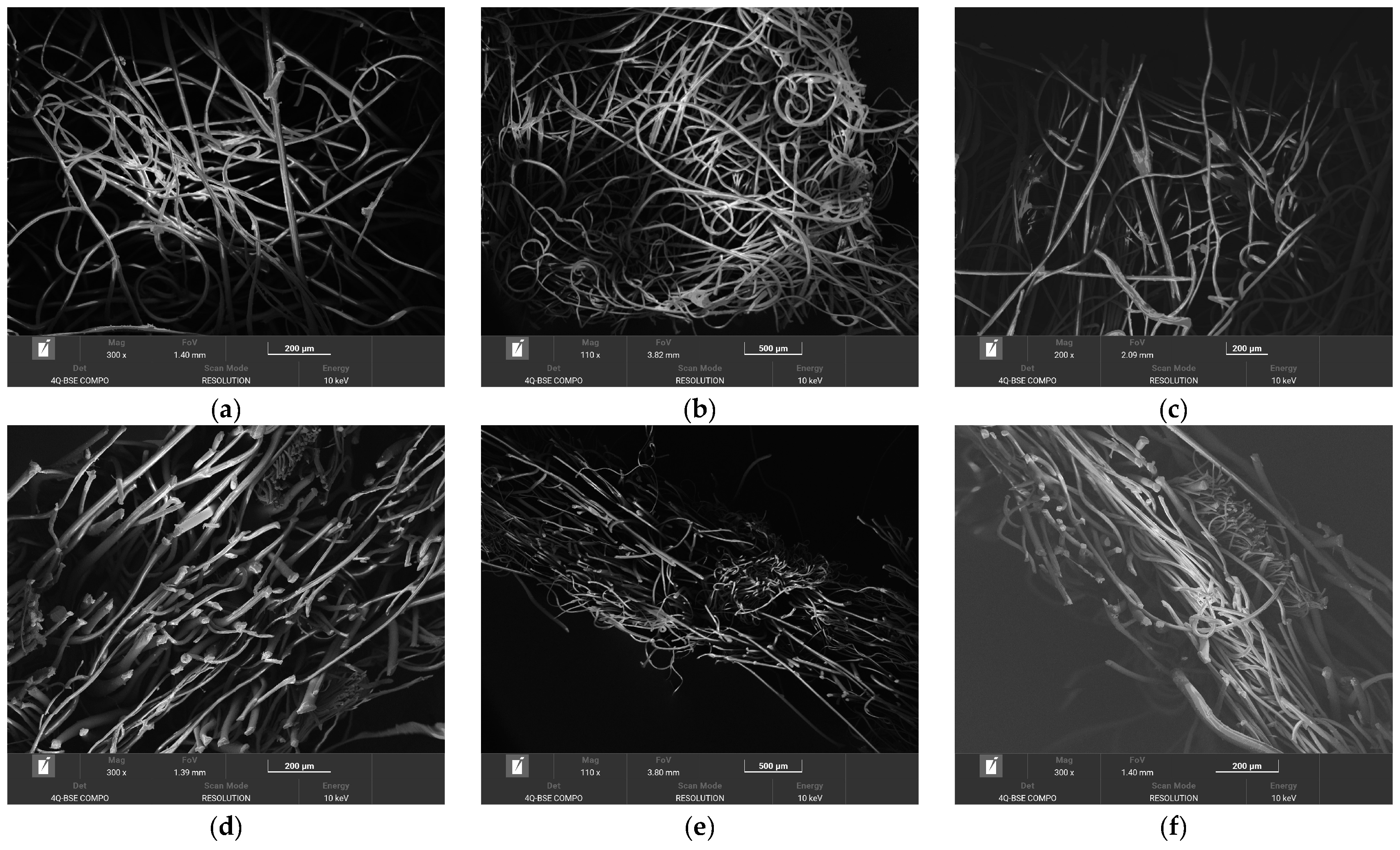Applsci 15 00626 g012
