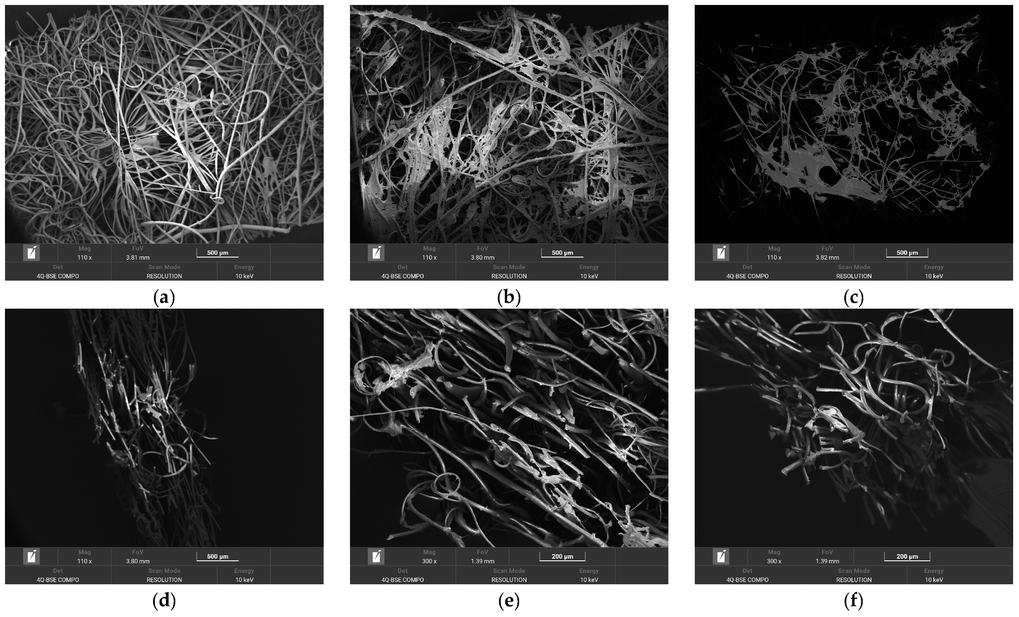 Applsci 15 00626 g013