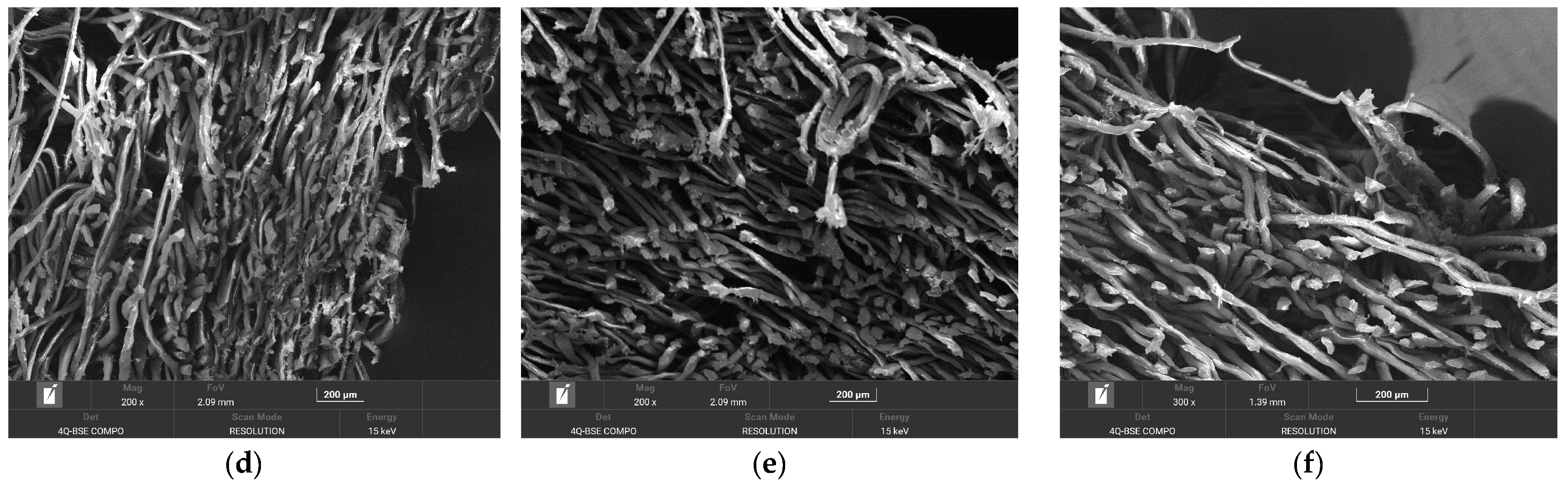 Applsci 15 00626 g015b