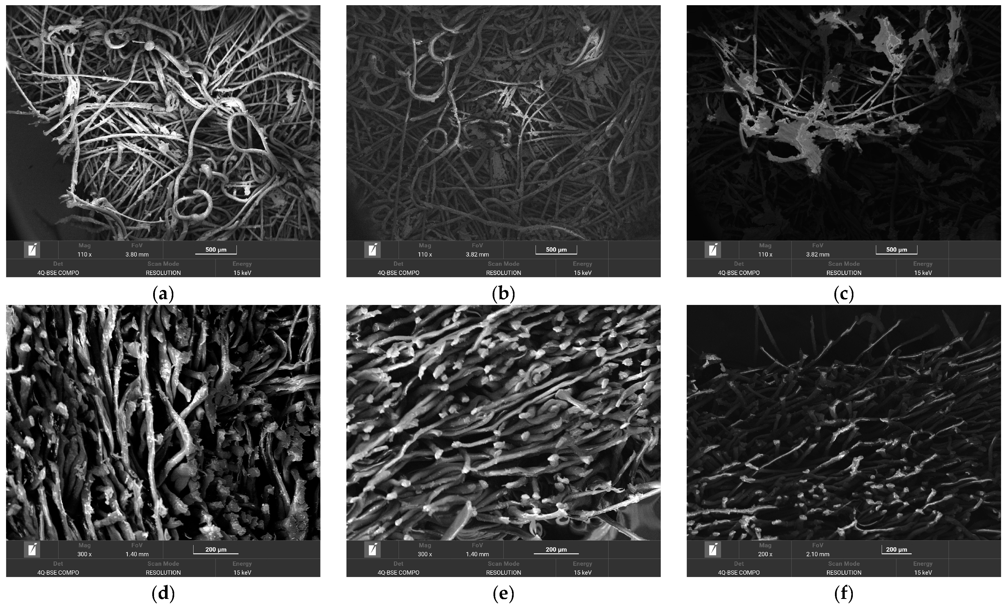 Applsci 15 00626 g016