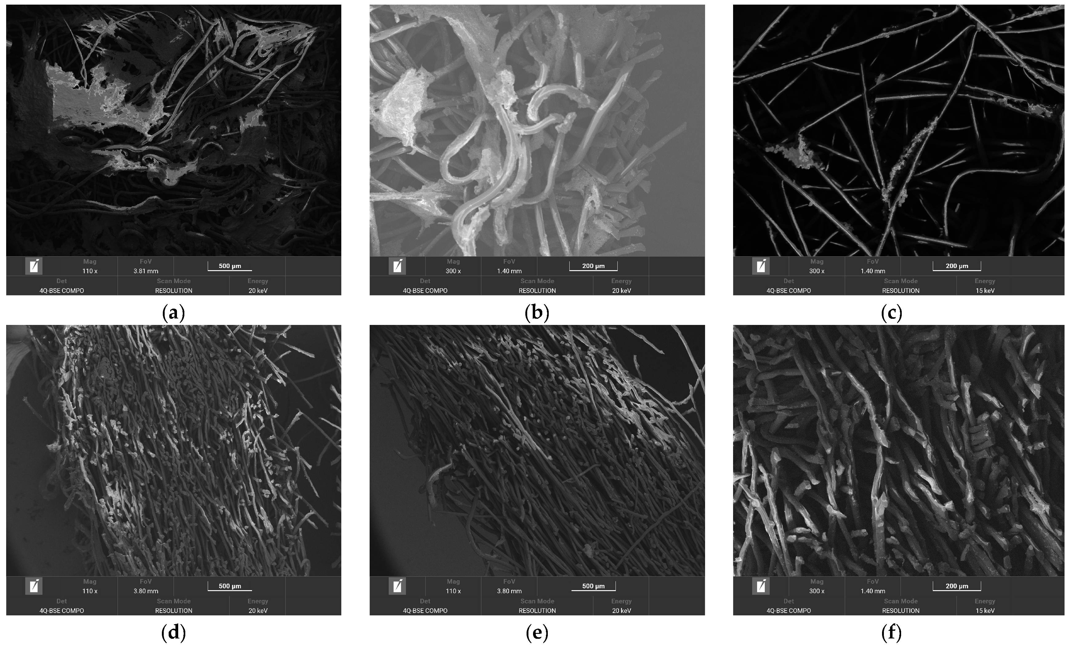 Applsci 15 00626 g017