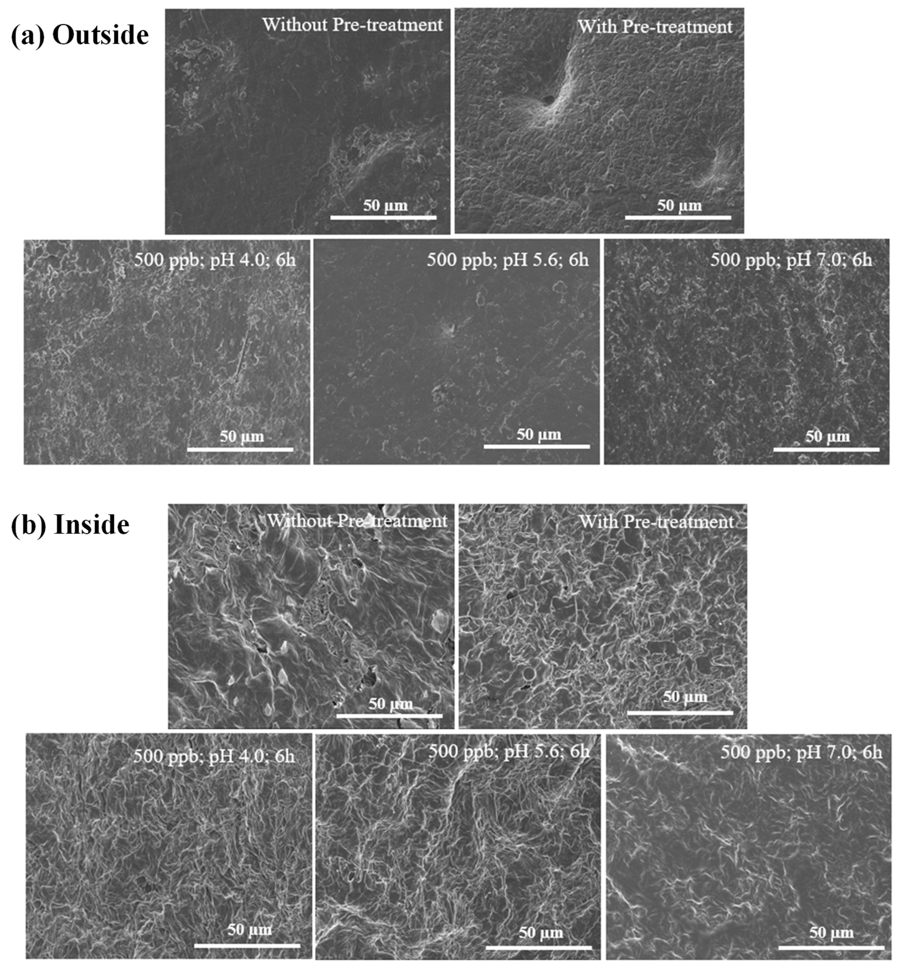 Applsci 15 00627 g004