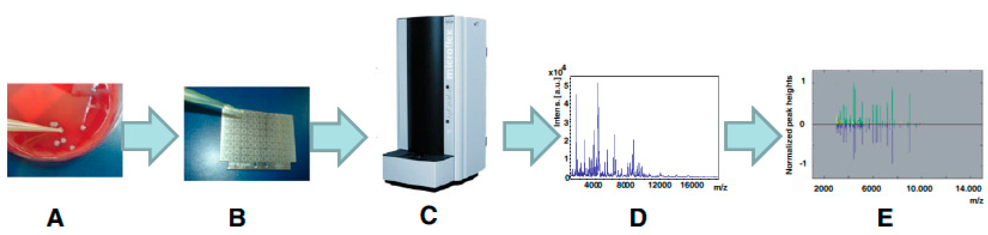 Applsci 15 00644 g003 Applsci 15 00644 g003
