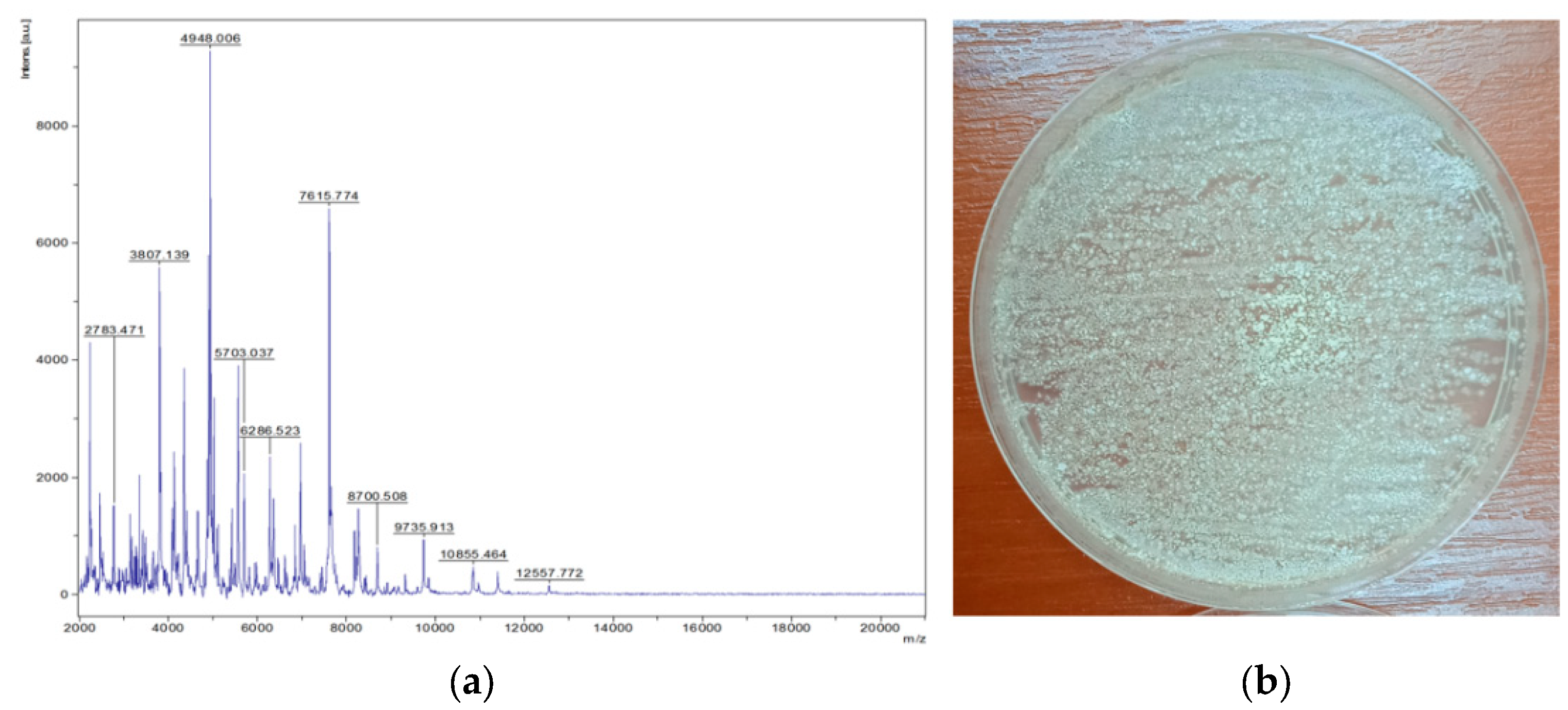 Applsci 15 00644 g009 Applsci 15 00644 g009