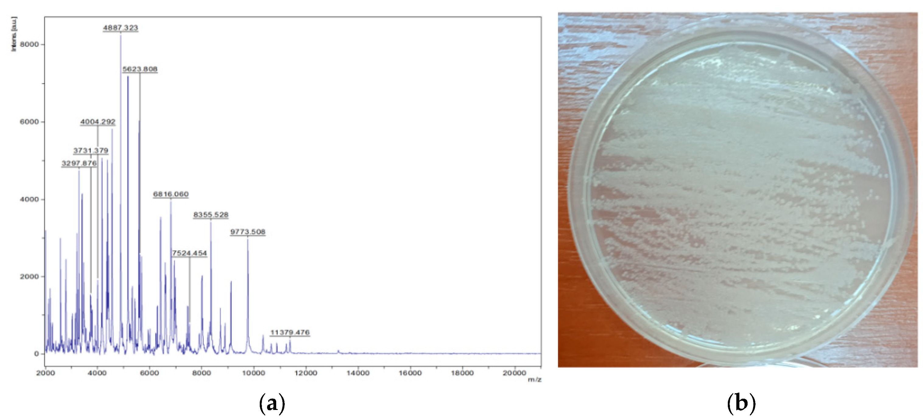 Applsci 15 00644 g010 Applsci 15 00644 g010