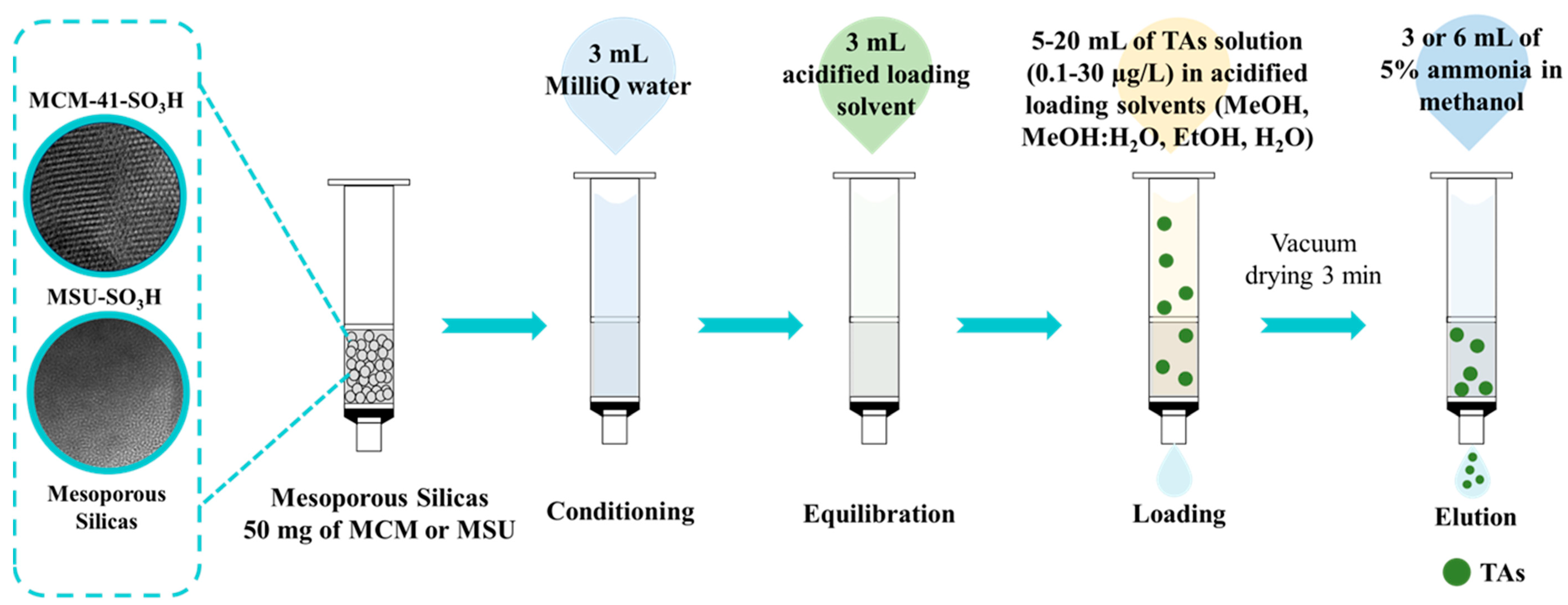 Applsci 15 00646 g001