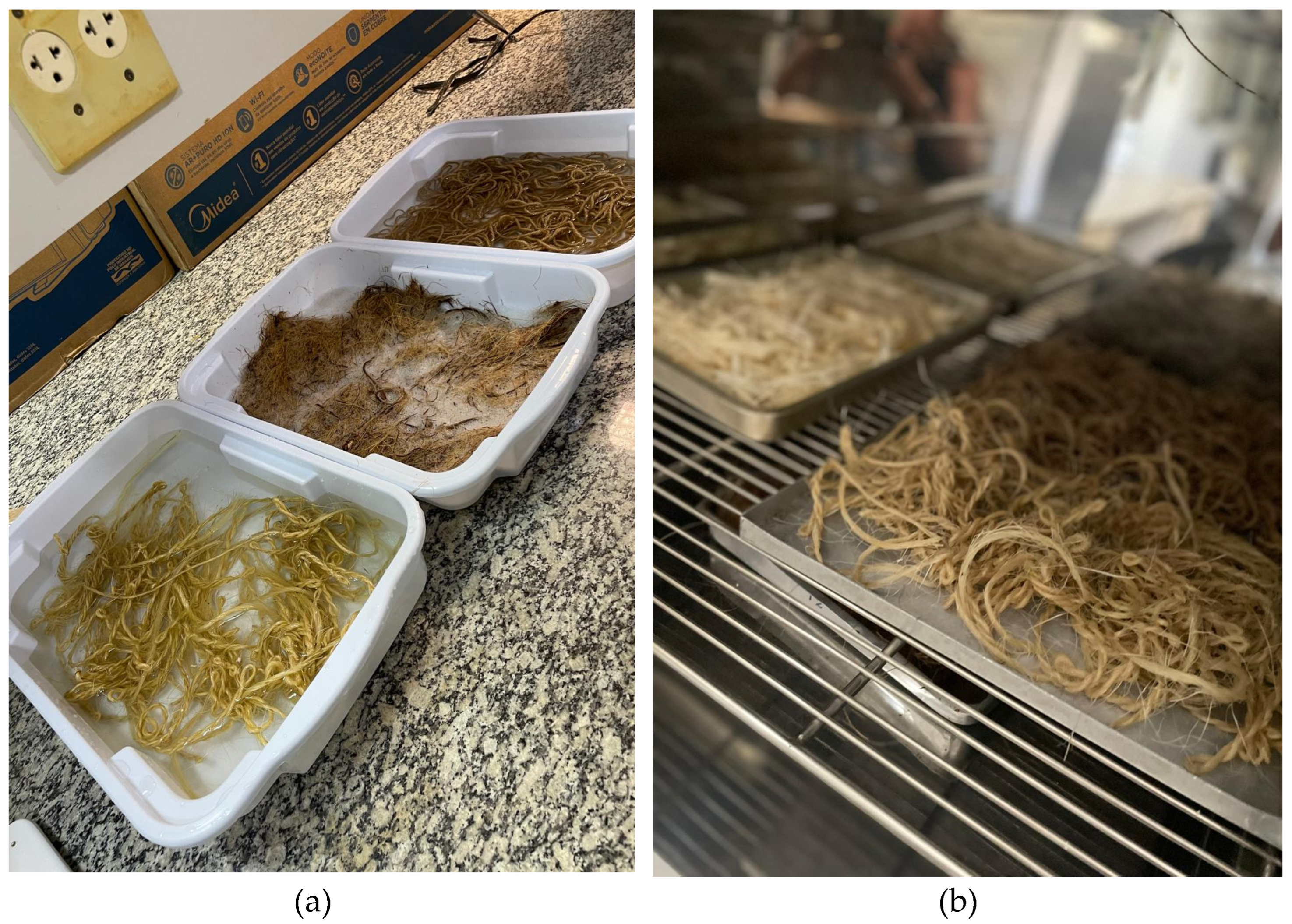 Applsci 15 00653 g002 Applsci 15 00653 g002