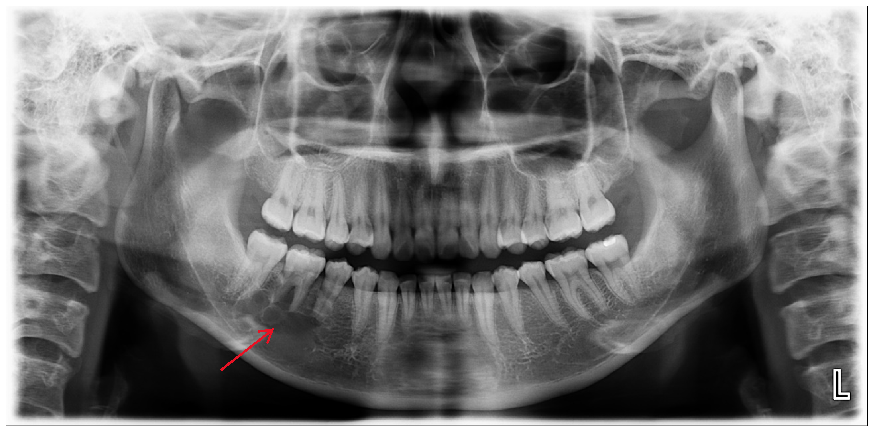 Applsci 15 00687 g001