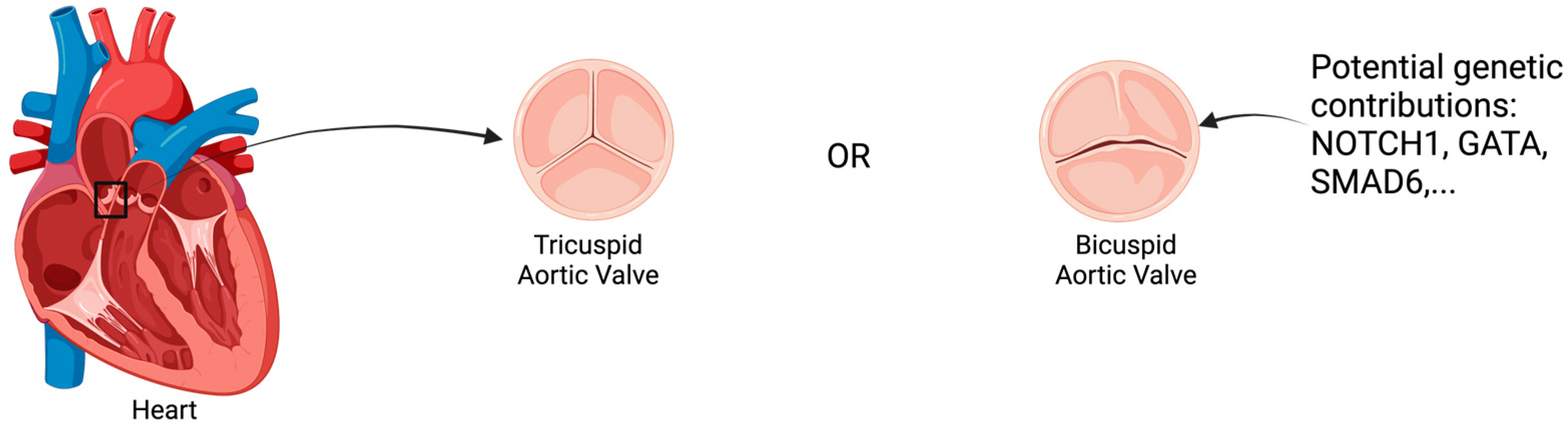 Applsci 15 00714 g001