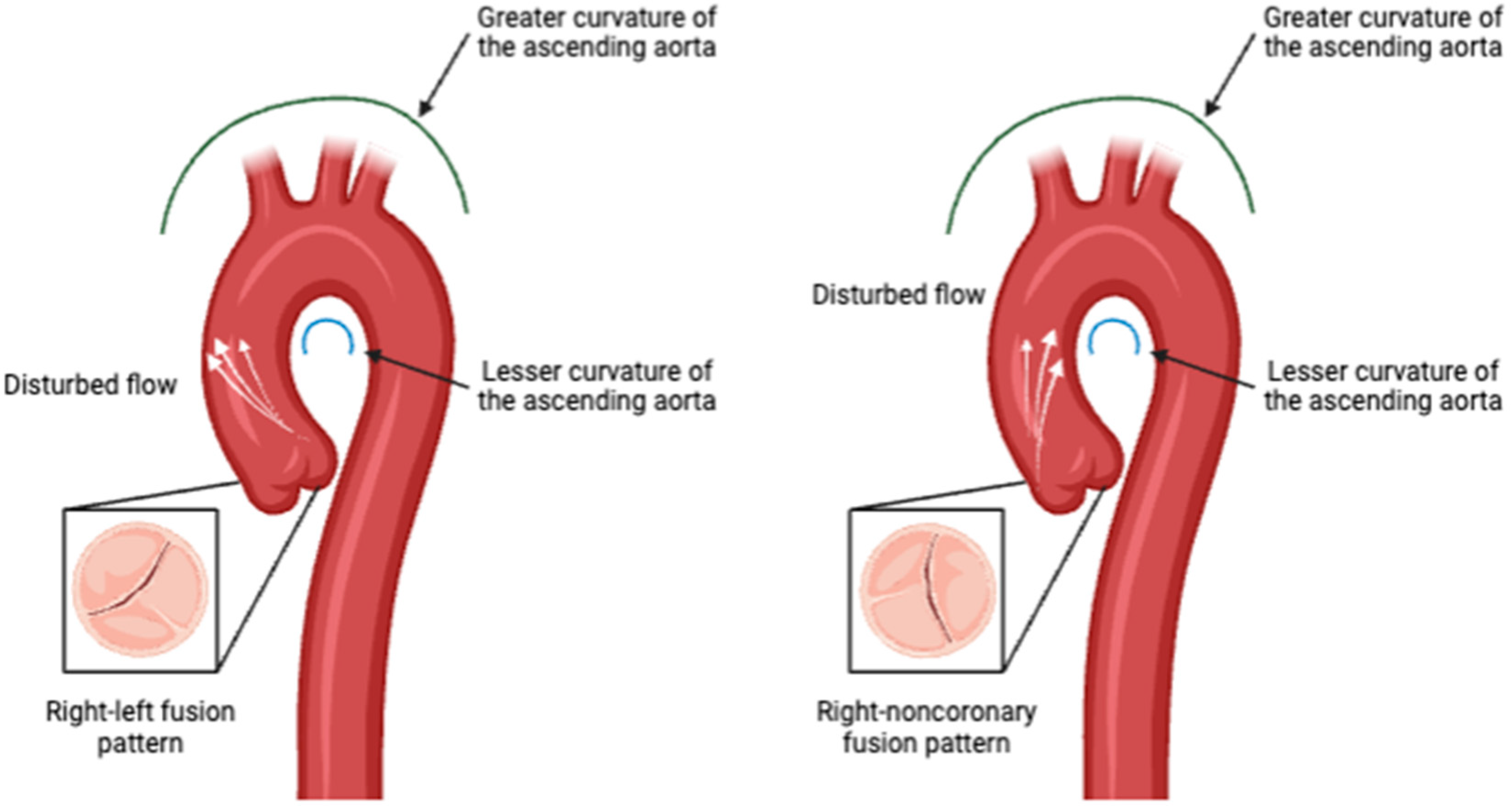 Applsci 15 00714 g003