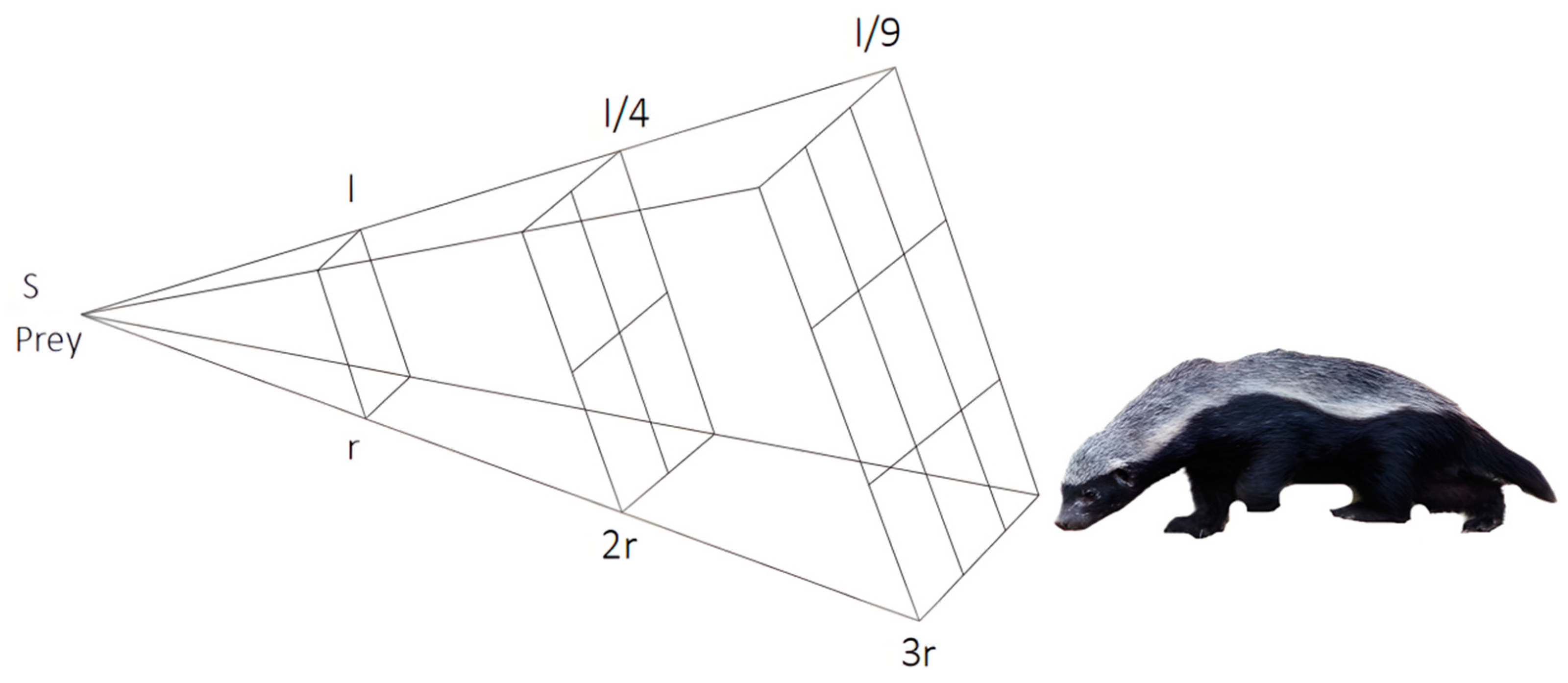 Applsci 15 00718 g001 Applsci 15 00718 g001