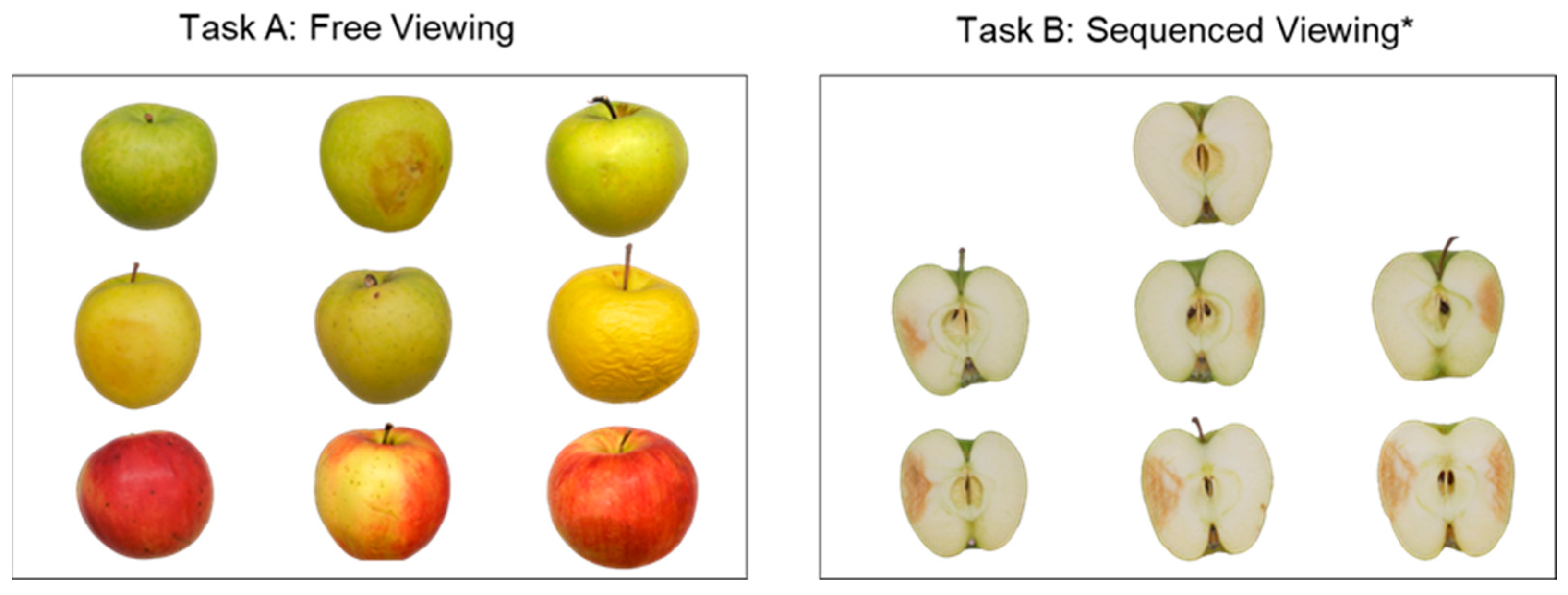 Applsci 15 00773 g001 Applsci 15 00773 g001
