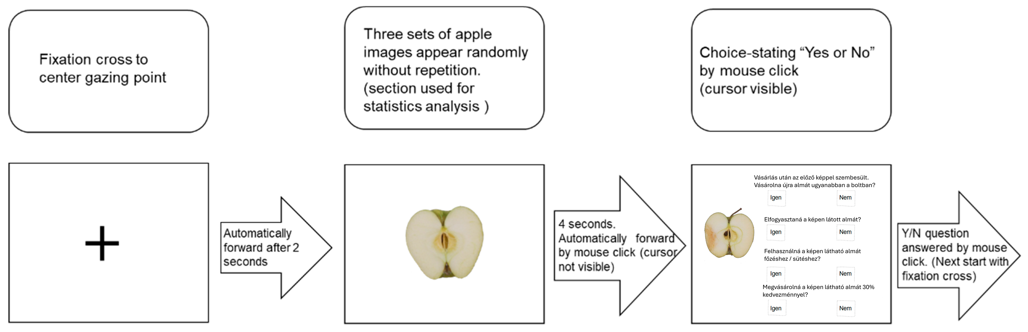 Applsci 15 00773 g003 Applsci 15 00773 g003